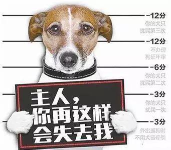 ⭐异常包售后
支付宝纯手工号
在哪买的不容易封号